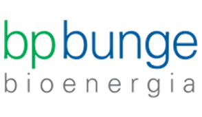 BP Bunge